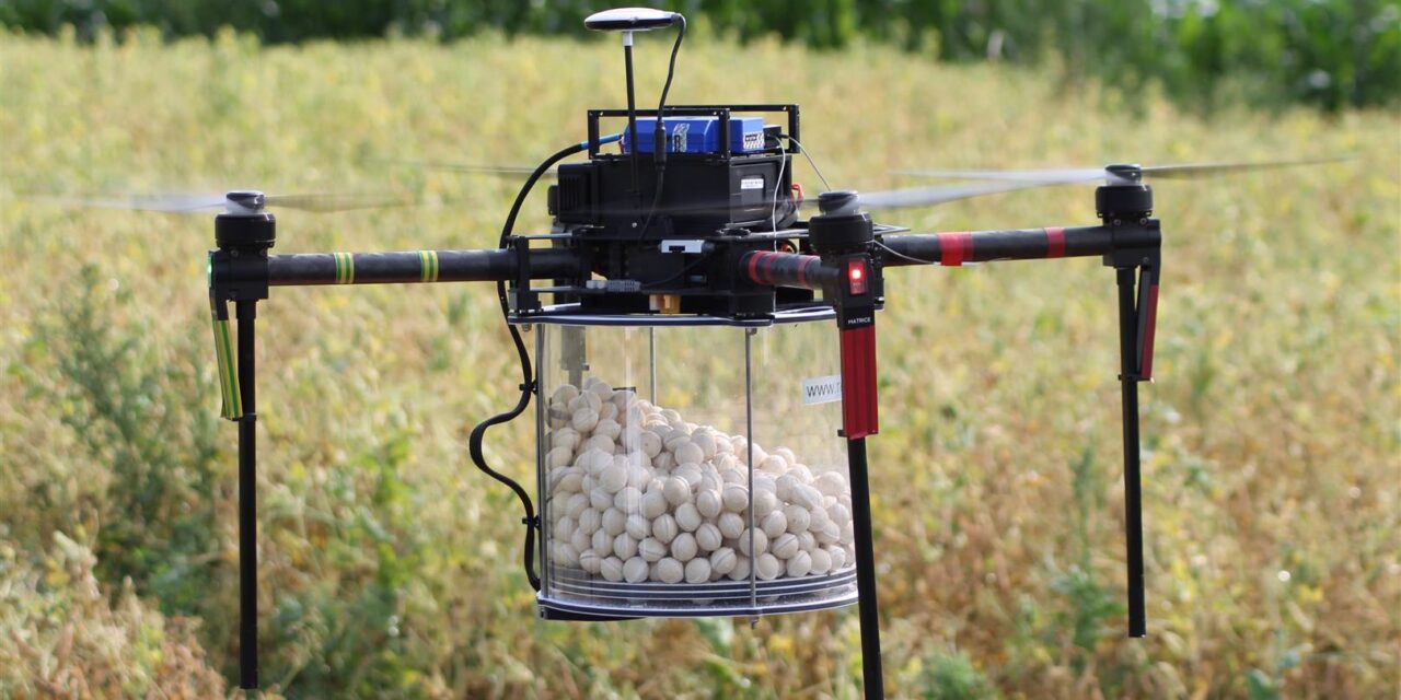 Ochrona roślin z wykorzystaniem dronów, czyli przykład nowoczesnego rolnictwa