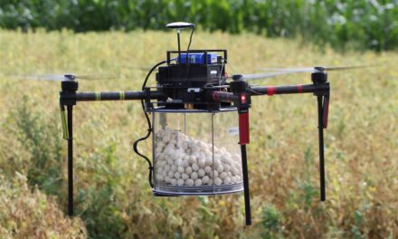 Ochrona roślin z wykorzystaniem dronów, czyli przykład nowoczesnego rolnictwa